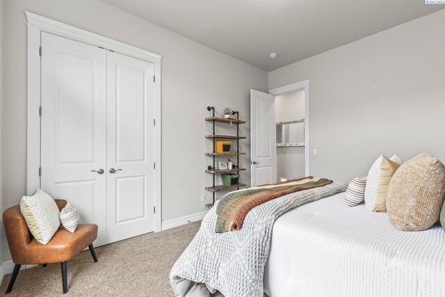 carpeted bedroom with baseboards and a closet
