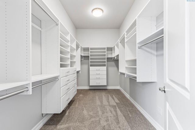 walk in closet featuring dark carpet