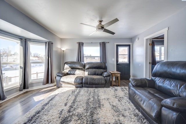 living room with hardwood / wood-style flooring and ceiling fan