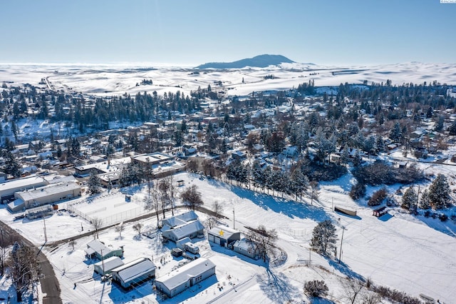 snowy aerial view featuring a mountain view