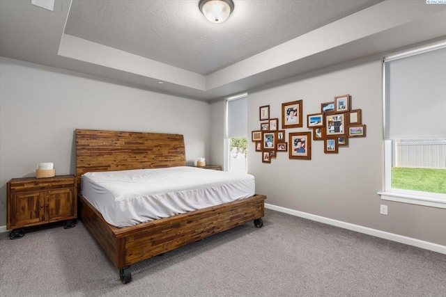 4526 Barbera St, Richland, WA 99352 - photo 24