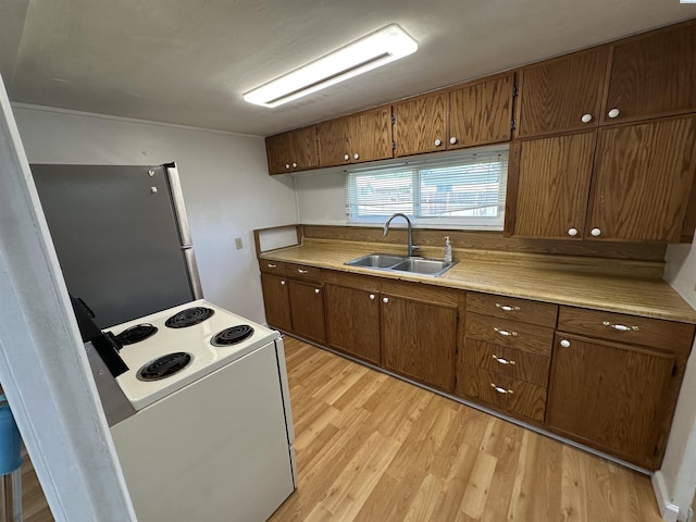 315 Robert Ave, Richland, WA 99352 - kitchen featuring electric stove, a sink, freestanding refrigerator, light wood-style floors, and light countertops