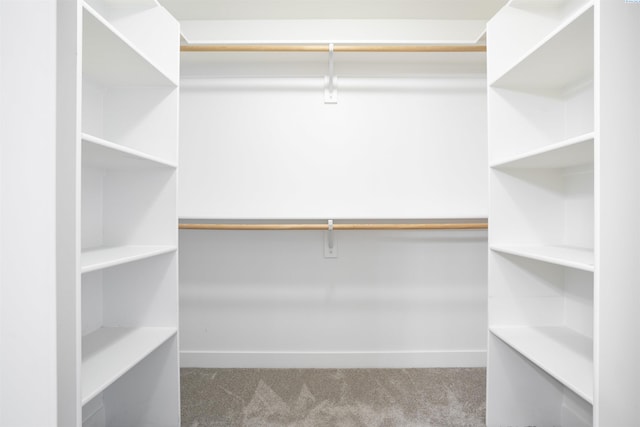 spacious closet featuring carpet