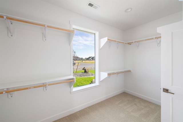 12704 Rock Creek Dr, Pasco, WA 99301 - photo 33