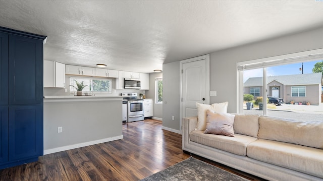 1215 Potter Ave, Richland, WA 99354 - photo 10