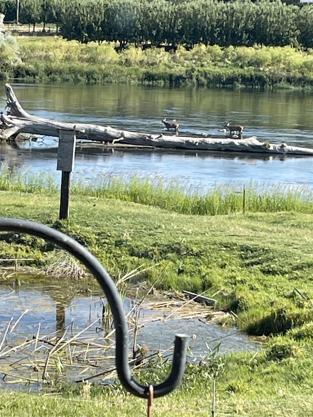 3680 E Euclid Rd, Mabton, WA 98935 - water view