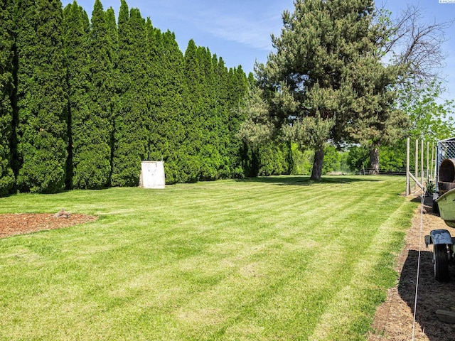 3680 E Euclid Rd, Mabton, WA 98935 - view of grassy yard