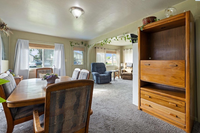 dining space featuring carpet