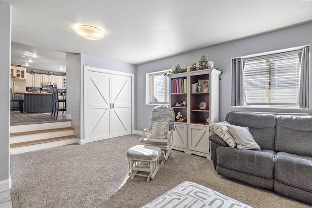 carpeted living room featuring baseboards