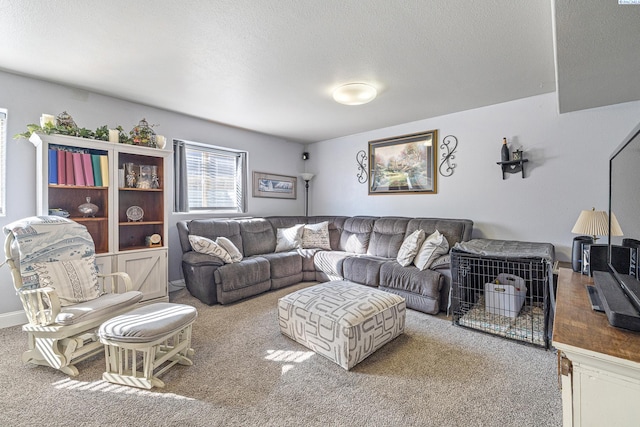 living room with a textured ceiling