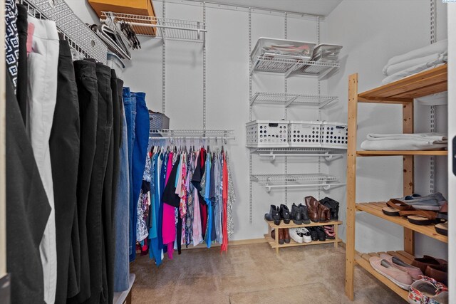 spacious closet featuring carpet flooring