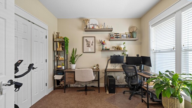 1905 S Harrison St, Kennewick, WA 99338 - office featuring carpet floors and baseboards
