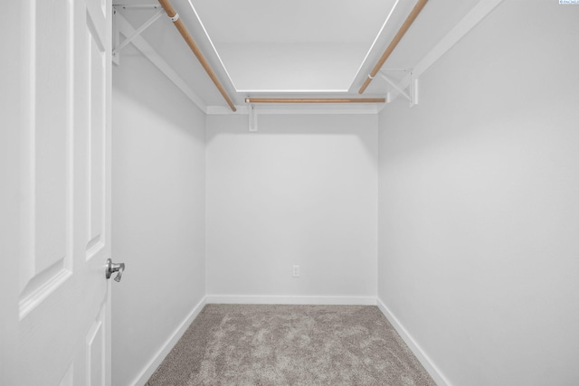 205 W 8th St, Colfax, WA 99111 - spacious closet with carpet flooring