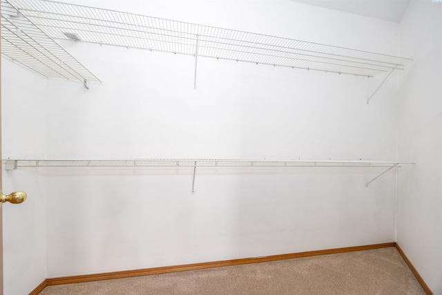 8506 W Klamath Ave, Kennewick, WA 99336 - photo 15