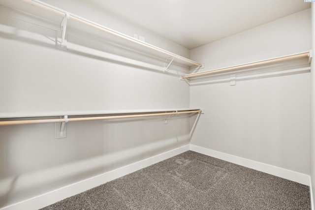 3054 S Quay St, Kennewick, WA 99338 - spacious closet with dark colored carpet