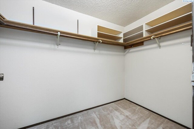 walk in closet featuring light colored carpet