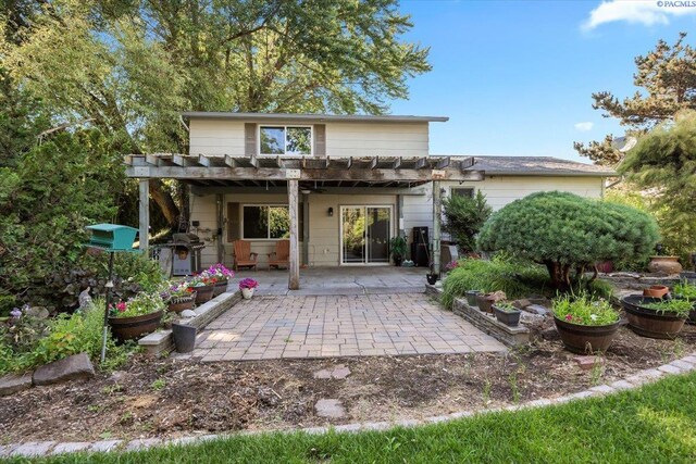 back of property with a pergola and a patio area