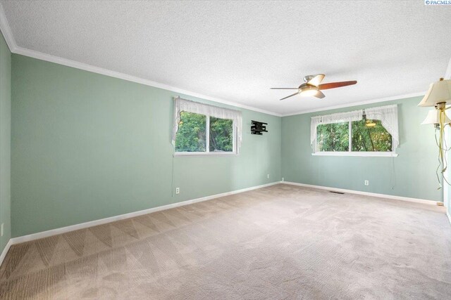 carpeted spare room with ornamental molding, a wealth of natural light, ceiling fan, and a textured ceiling