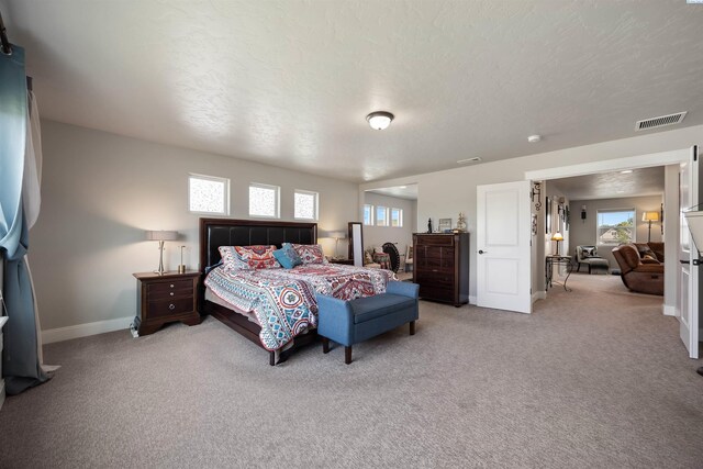 5901 W Ruby St, Pasco, WA 99301 - bedroom featuring multiple windows, baseboards, light colored carpet, and a textured ceiling
