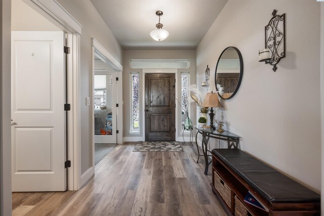 5901 W Ruby St, Pasco, WA 99301 - foyer with wood finished floors, plenty of natural light, and baseboards