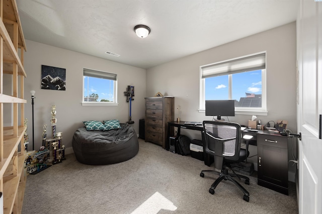 5901 W Ruby St, Pasco, WA 99301 - view of carpeted home office