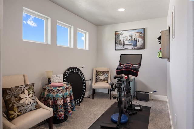 5901 W Ruby St, Pasco, WA 99301 - workout room featuring carpet flooring, baseboards, and recessed lighting