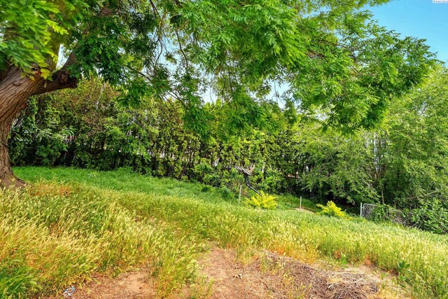 1404 W 15th Ave, Kennewick, WA 99337 - photo 22