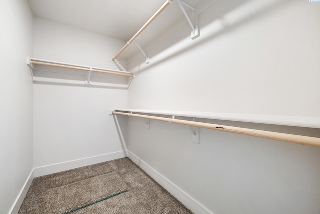 10601 Coho Dr, Pasco, WA 99301 - photo 17