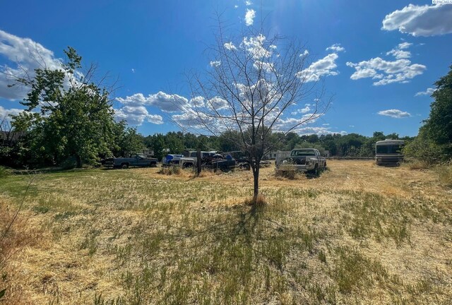 2816 S Cedar St, Kennewick, WA 99337 - view of yard