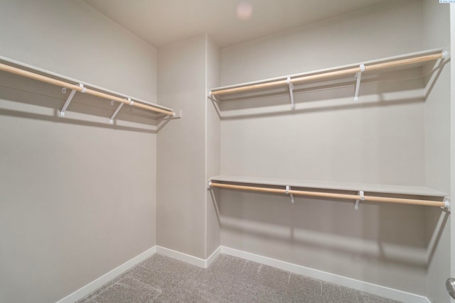 6223 Berea Ln, Pasco, WA 99301 - spacious closet featuring carpet