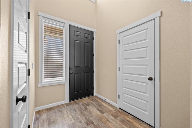 foyer entrance with baseboards, wood finished floors, and a wealth of natural light