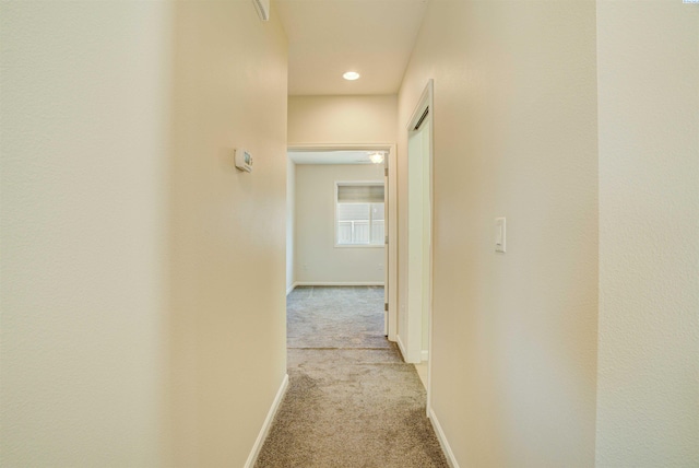 1809 S Jefferson Pl, Kennewick, WA 99338 - photo 11