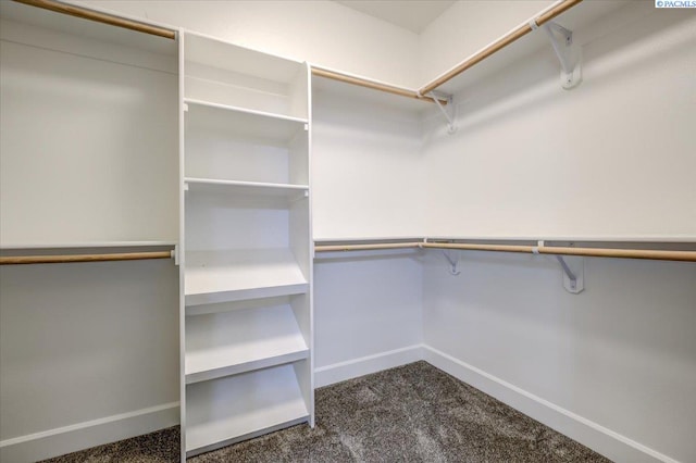 spacious closet with dark colored carpet