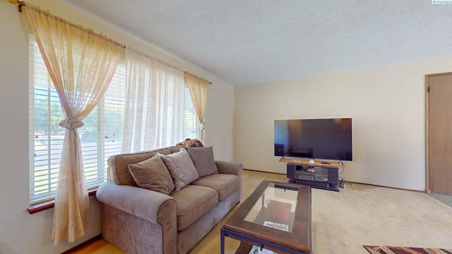 1103 W 42nd Ave, Kennewick, WA 99337 - photo 3