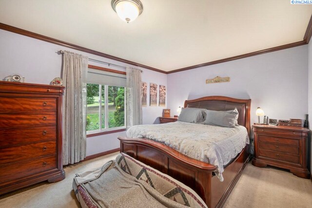47001 Sr 27, Tekoa, WA 99033 - bedroom with light carpet, crown molding, and baseboards