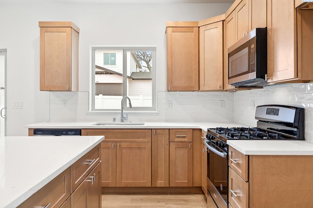 kitchen featuring light countertops, a sink, light wood finished floors, and stainless steel appliances