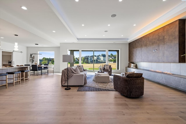 living room with a tray ceiling and light wood-type flooring