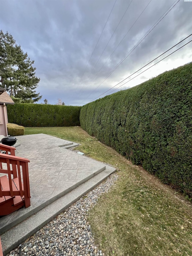 view of yard with a patio