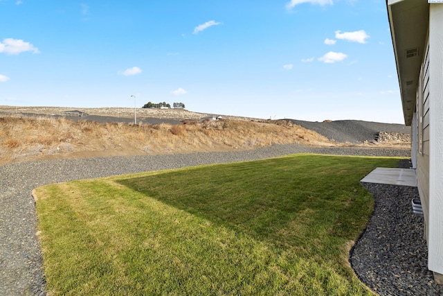 view of yard with visible vents