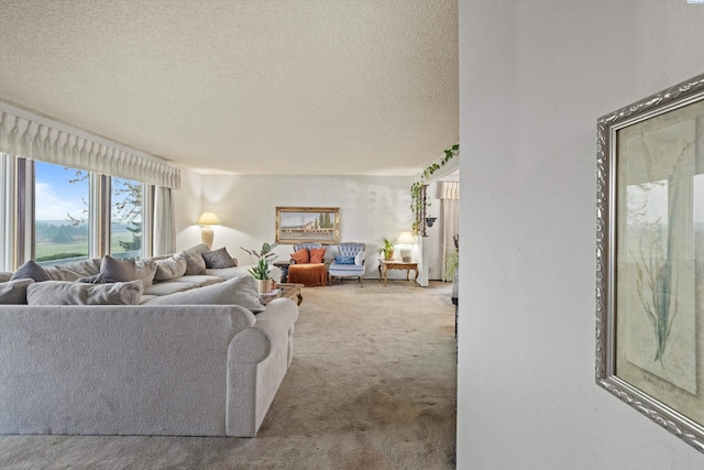 697 Conrad Rd, Touchet, WA 99360 - living room featuring carpet and a textured ceiling