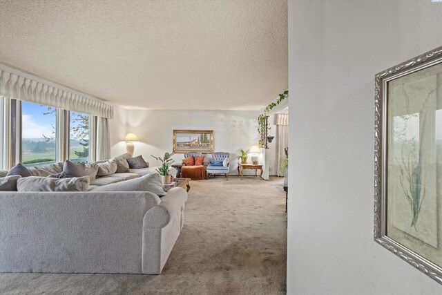 697 Conrad Rd, Touchet, WA 99360 - living area with carpet flooring and a textured ceiling