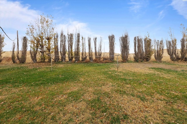 697 Conrad Rd, Touchet, WA 99360 - view of yard