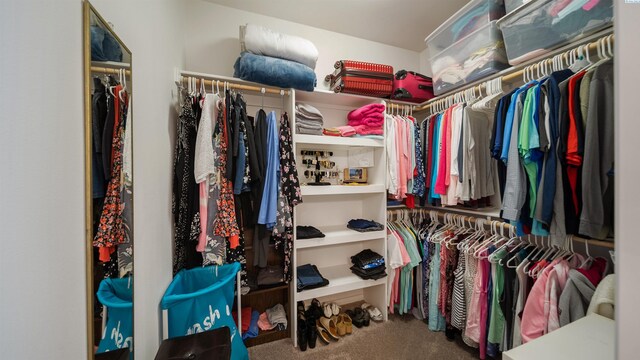 8902 Sophie Rae Ct, Pasco, WA 99301 - spacious closet with carpet floors
