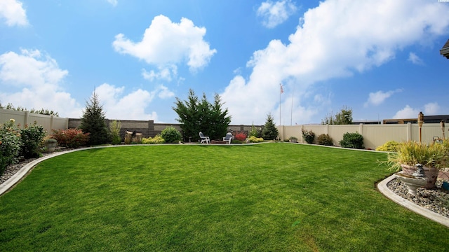 8902 Sophie Rae Ct, Pasco, WA 99301 - view of fenced backyard