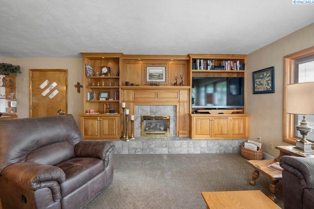 407 Steptoe St, Colton, WA 99113 - living room featuring carpet floors and a fireplace