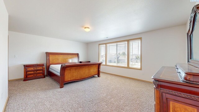 4613 Atlanta Ln, Pasco, WA 99301 - bedroom with light carpet and baseboards