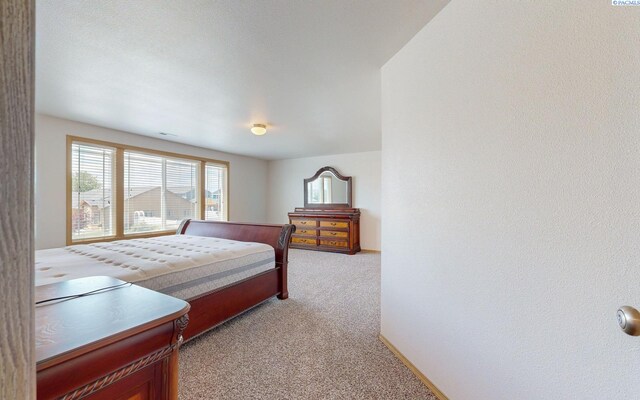 4613 Atlanta Ln, Pasco, WA 99301 - bedroom featuring light colored carpet