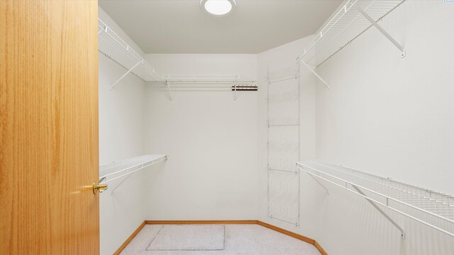 117 Bellerive Ln, Pasco, WA 99301 - photo 16