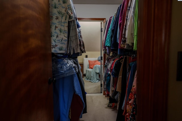 2929 S Ledbetter Pl, Kennewick, WA 99337 - spacious closet featuring carpet flooring