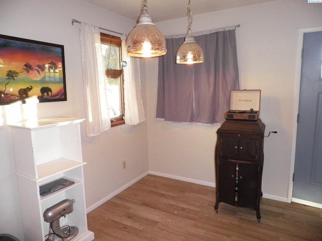 dining space featuring hardwood / wood-style floors